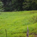 윤승호농장 이미지