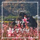 거성앵글 | 단양의 숨은 볼 거리! 도담삼봉에서 차로 10분 거리에 있는 맞은 편 도담정원과 도담행복마을에서 꽃...