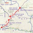 나무쉼터 Daum카페