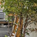 신당파출소 | 신당역 맛집 탐방기: 계신당 에서 만난 따뜻한 닭곰탕 한 그릇