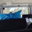 바다속으로 호스텔 | 필리핀 세부 여행기(4) 모알보알 -&gt; 막탄, 막탄 샹그릴라 리조트 후기(메인윙 디럭스 오션뷰)