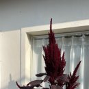 복주경로당 네이버블로그