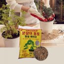 흙 - 양평군 은행나무길 381-1 | 흙