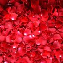 백락산방 이미지