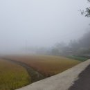 양덕동095 이미지