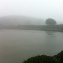 이시돌목장 이미지