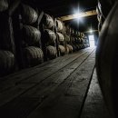 이천시파크골프장 이미지