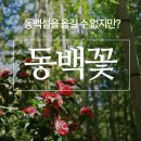 대성조경농원 이미지