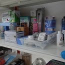 애견백화점 이미지