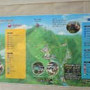 대봉산캠핑랜드 우중 캠핑(26.8.15~17) 이미지