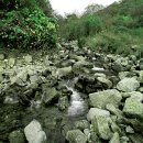 풀내음민박 이미지