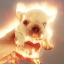 무수리경로당 | 0406 🧑‍🧑‍🧒