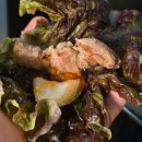 당산끝집 이미지