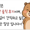 호텔 스테이인터뷰 제주 이미지