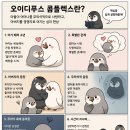 1. 신화 및 역사적 기원의 심리 컴플렉스 -오이디푸스 컴플렉스 (Oedipus Complex)