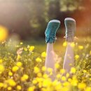 보육학개론 이미지