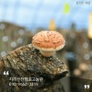 지리산 천령표고농원 겨울나기