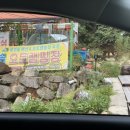 뜰안솔 네이버블로그