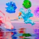 광화문미디어 이미지