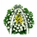 애화공원 이미지