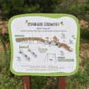 케이엠스포츠