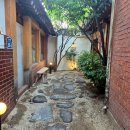 호호식당익선 | [익선동맛집]6년 연속 블루리본 일본식 가정식 <호호식당익선점> 솔직후기