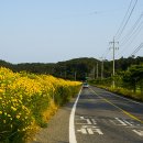 꽃지가는길 이미지