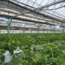 주몽농장 이미지