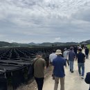 사천리축산 이미지