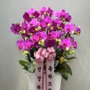 장안꽃시장 네이버블로그