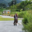 본포생태공원(주차장) 이미지