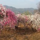 미수향 - 김해시 함박로101번길 20 | 미수향