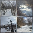 입곡삼거리 초소뒤 | 소백산 (2026 0216)