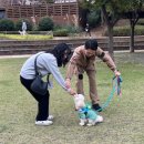 펫밀리 이미지