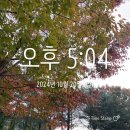 [84일차] 여유🍃 이미지