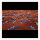 성 치과의원 이미지