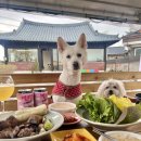 복사나무집