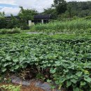 이성찬농장 이미지