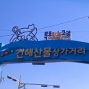 청춘어항