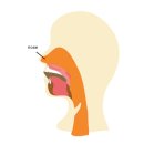 코숨한의원 이미지