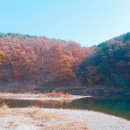 [숲에서놀아요] 울산 선바위공원 이미지