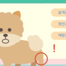 고촌동물병원 이미지