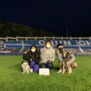 백령고등학교 이미지