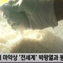황하나 마약 유통과정 (MBC뉴스투데이 단독취재) 이미지
