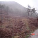 느티나무농장 이미지