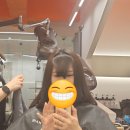 반월당폴리파크 | [대구 동성로 미용실] 이경민 라포헤어 동성로점에서 레이어드 펌 대만족 후기
