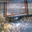 철길농장 이미지