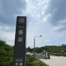 [종묘 관람 후기] 유네스코가 인정한 역사의 숨결, 종묘에서 보낸 특별한 하루