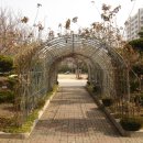 효동초교 이미지