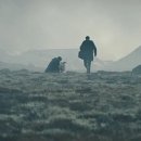 오드(AUD) 이미지